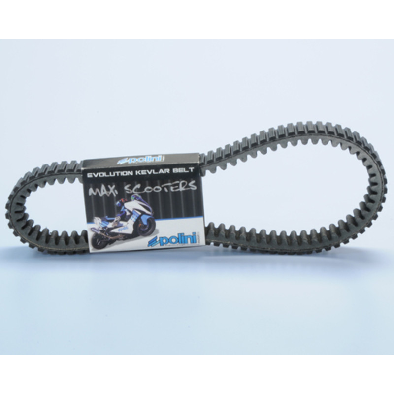 Courroie de transmission POLINI Kevlar renforcée Courroie de transmission POLINI Kevlar renforcée