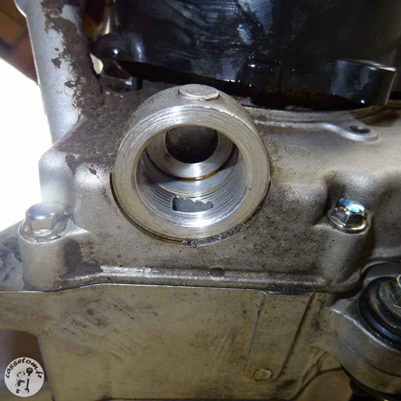 Moteur Sym 50 Crox 2018 - Puissance et Efficacité