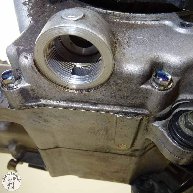 Moteur Sym 50 Crox 2018 - Puissance et Efficacité