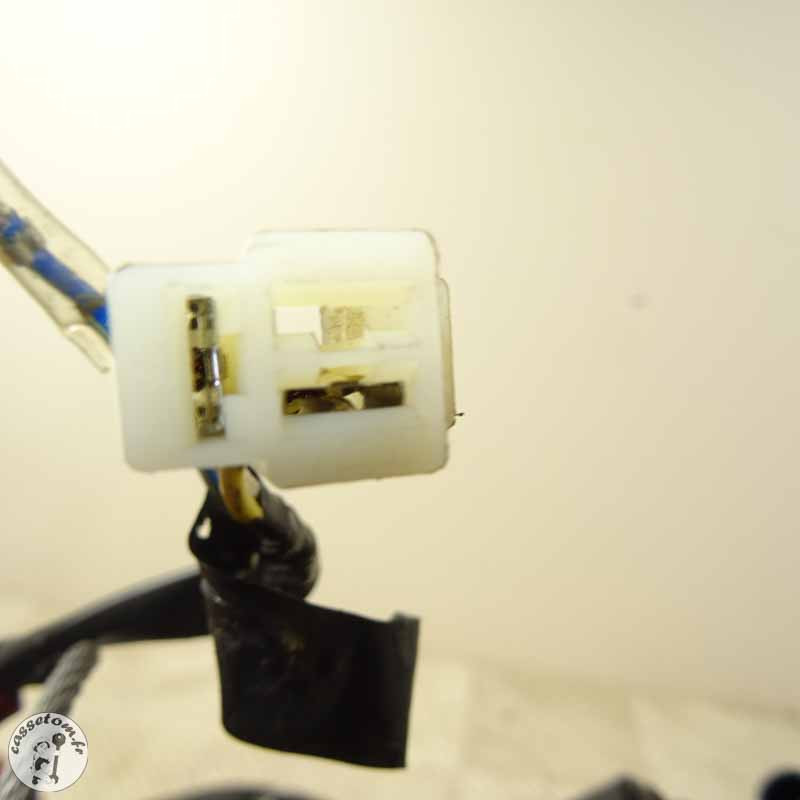 Moteur Sym 50 Crox 2018 - Puissance et Efficacité