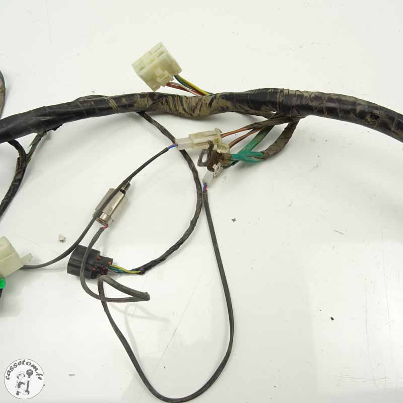 Faisceau Électrique Sym 50 Crox 2018 - Qualité Garantie