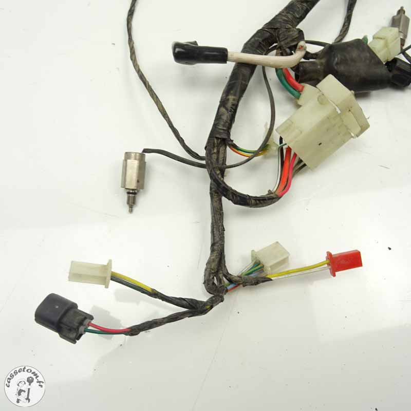 Faisceau Électrique Sym 50 Crox 2018 - Qualité Garantie