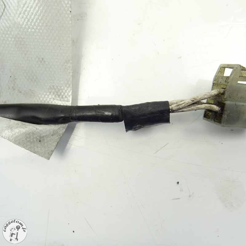 Stator Yamaha 600 Fazer 2007 - Pièce Moto d'Origine