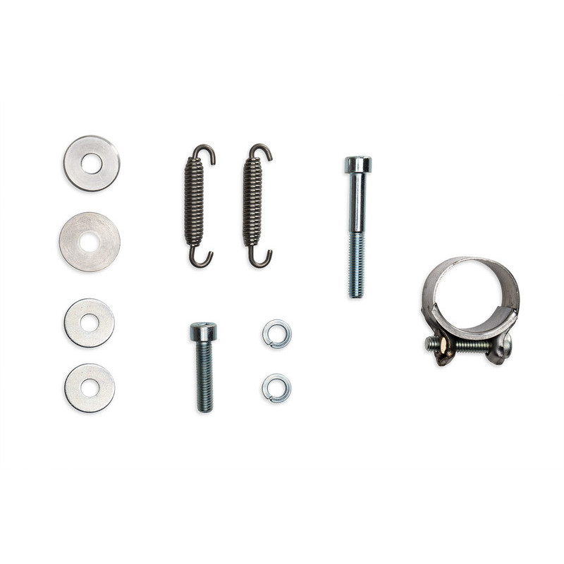 Silencieux MALOSSI RX - noir