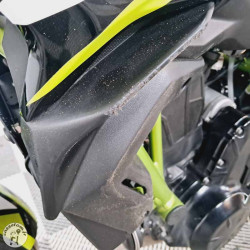 Kawasaki z 650 de 2021