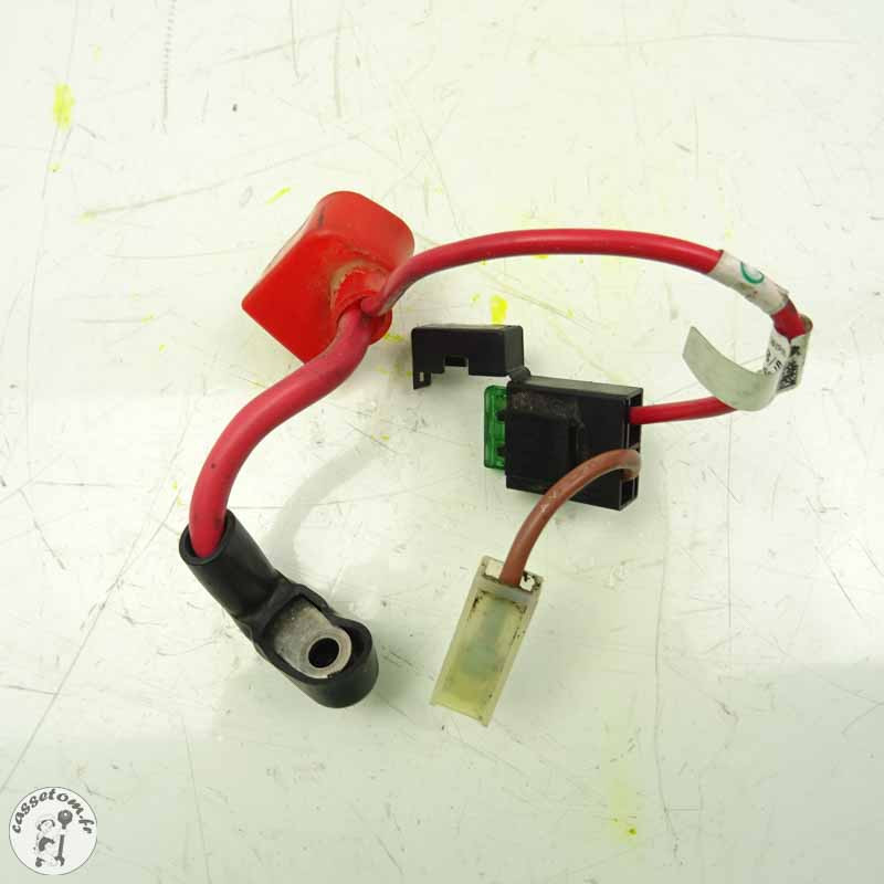 Cable batterie Triumph 660 street triple 2018