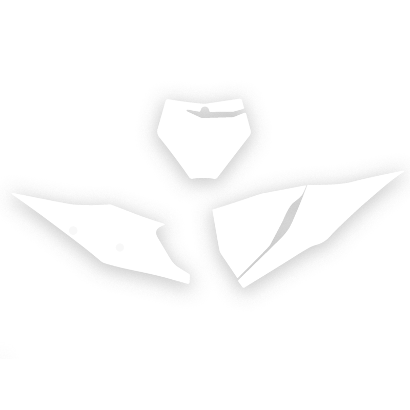 Fonds de plaque BLACKBIRD