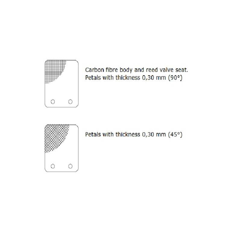 Clapet MALOSSI VL13 pétale carbone 0,30mm 45°