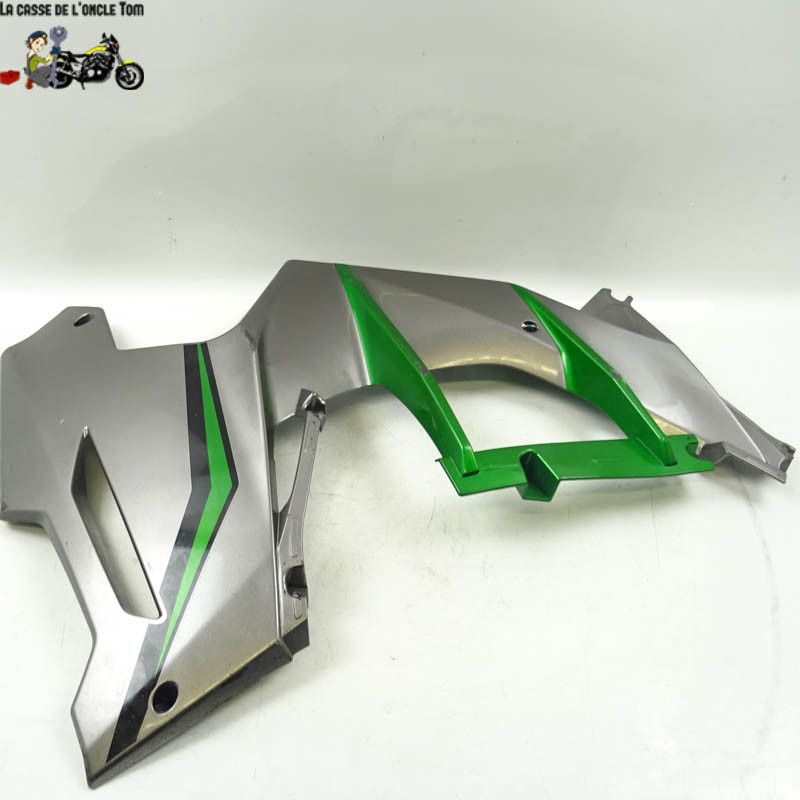 Flanc avant droit Kawasaki 1000 H2 Ninja sx se 2019 - CTM-10492-054