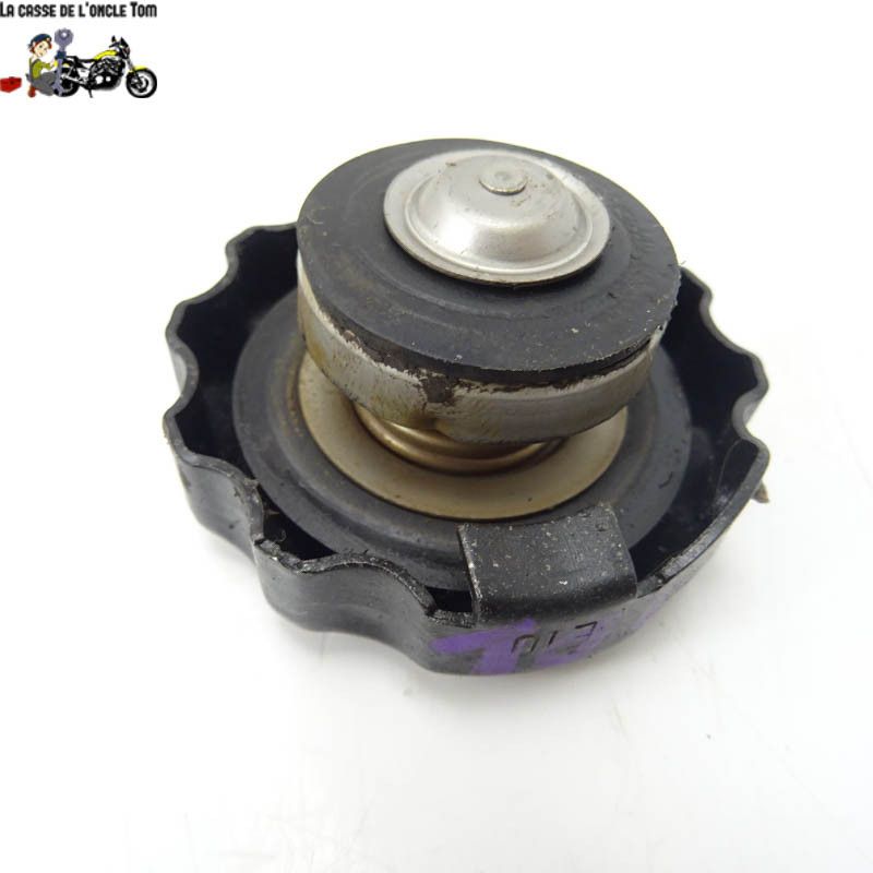 Bouchon de radiateur Triumph 675 Street Triple 2009 - CTM-10438-037