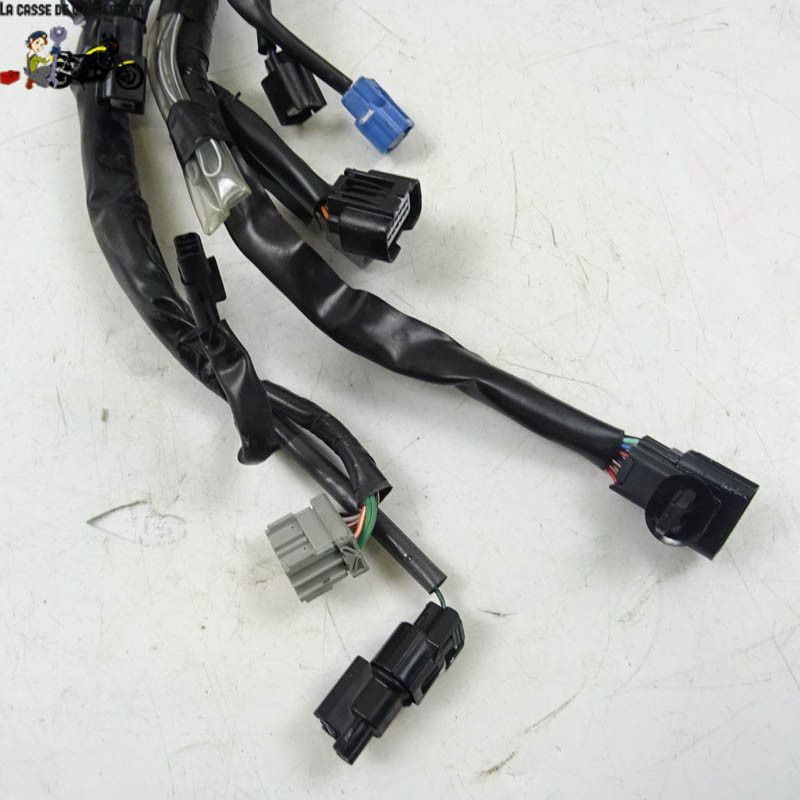 Faisceau éléctrique principal Honda 1000 CRF 2017 - CTM-10389-033