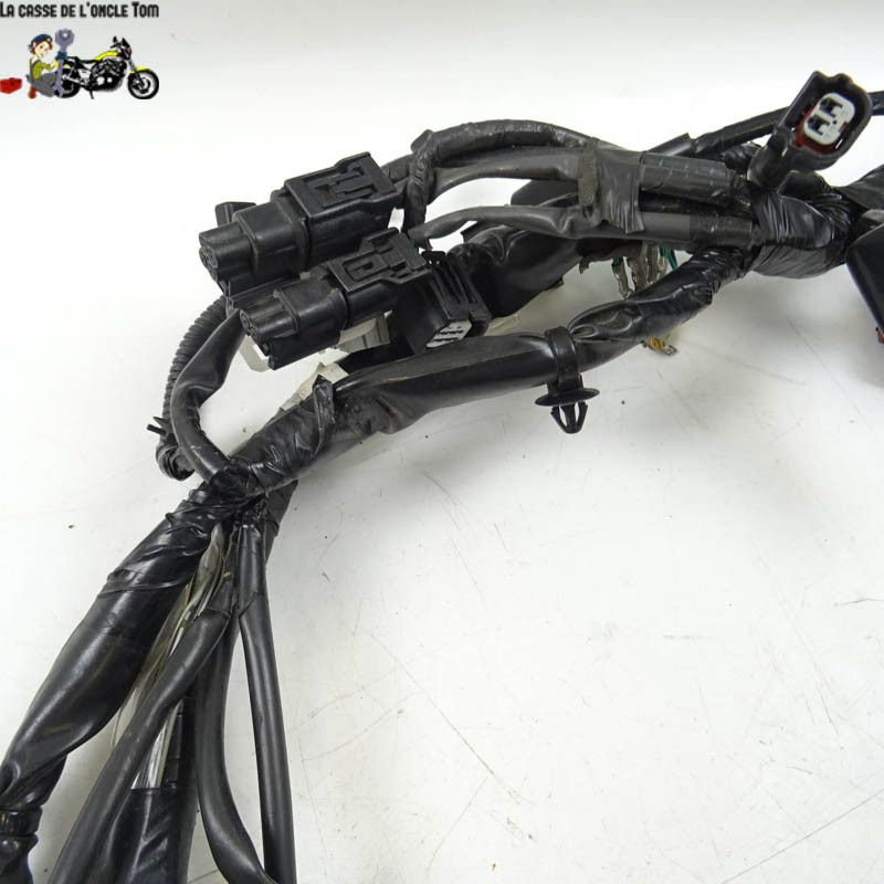 Faisceau éléctrique principal Honda 1000 CRF 2017 - CTM-10389-033