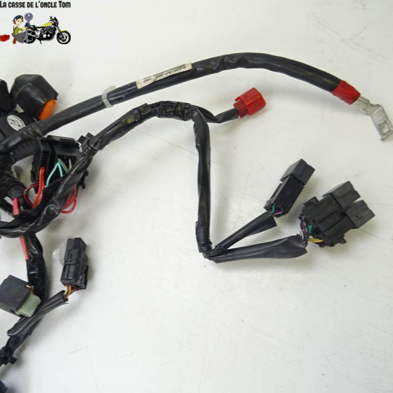 Faisceau éléctrique principal Honda 1000 CRF 2017 - CTM-10389-033