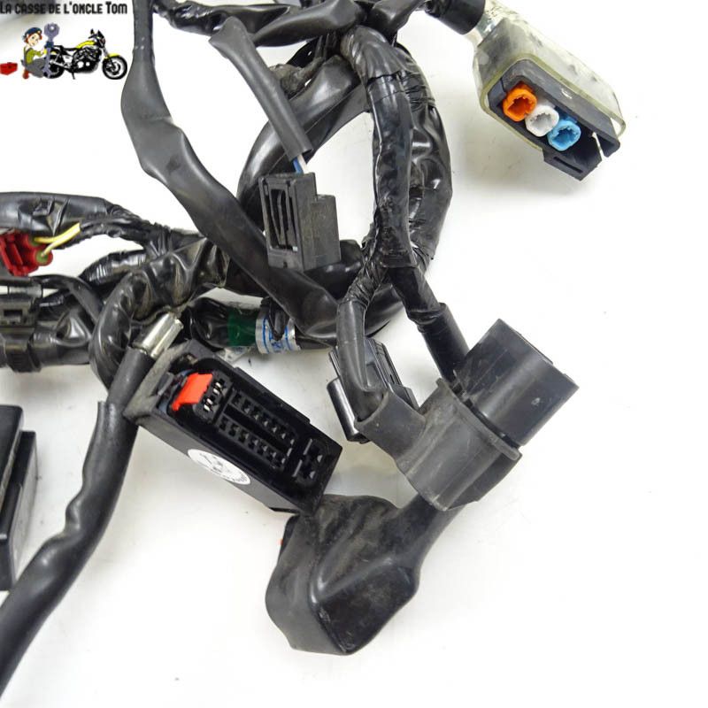 Faisceau éléctrique principal Honda 1000 CRF 2017 - CTM-10389-033