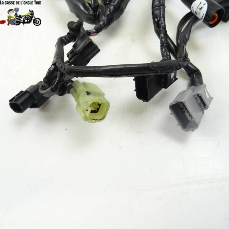 Faisceau éléctrique tête de fourche Honda 1000 CRF 2017 - CTM-10389-036