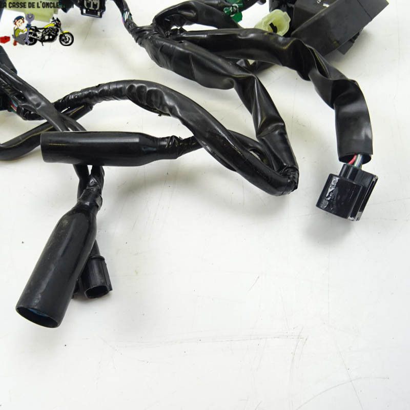 Faisceau éléctrique tête de fourche Honda 1000 CRF 2017 - CTM-10389-036