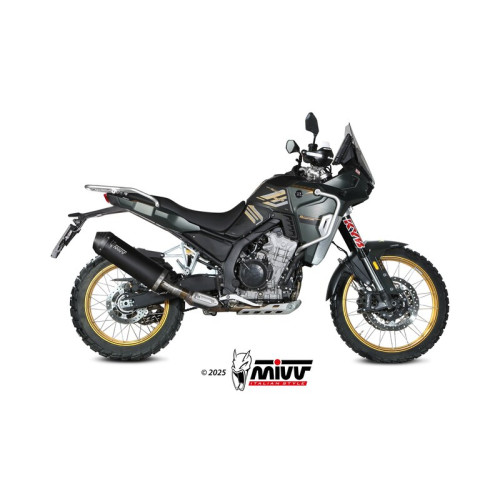 Silencieux MIVV Oval