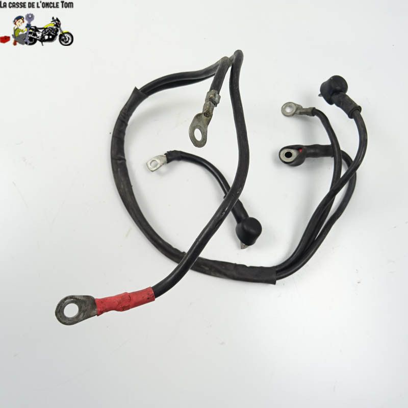 Cables de batterie Benelli 899 TNT 2008 - Cassetom - Nos pièces motos