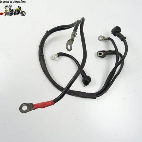 Cables de batterie Benelli 899 TNT 2008 - CTM-10392-024