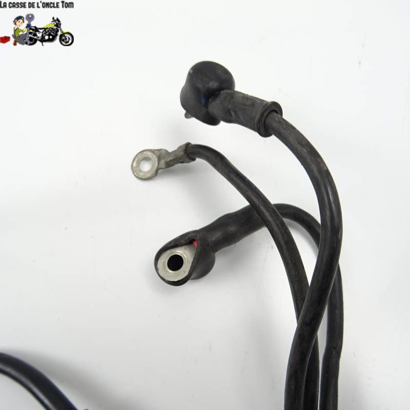 Cables de batterie Benelli 899 TNT 2008 - CTM-10392-024