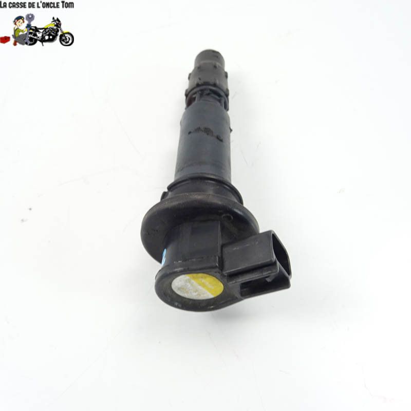 Bobine crayon Triumph 1050 Tiger 2007 - CTM-10740-041