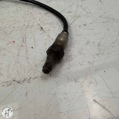 Sonde lambda  Aprilia 660 rs 2024