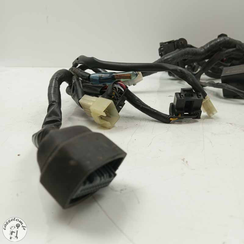 Faisceau électrique  Yamaha 700 Mt-07 2018