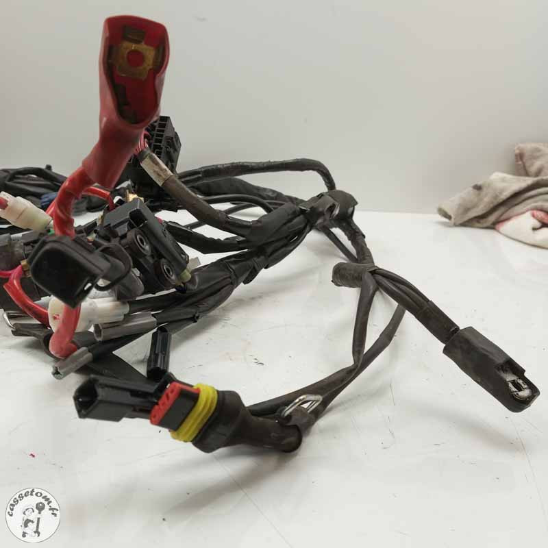 Faisceau électrique  Yamaha 700 Mt-07 2018