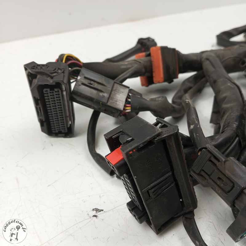 Faisceau électrique  Yamaha 700 Mt-07 2018