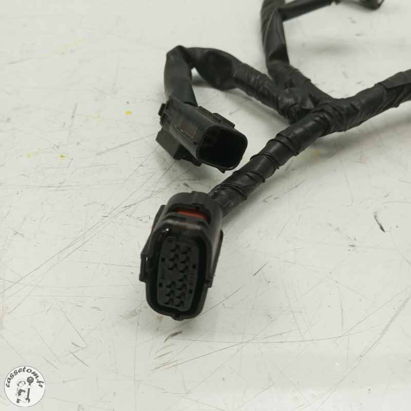 Faisceau d'injection  Yamaha 700 Mt-07 2018