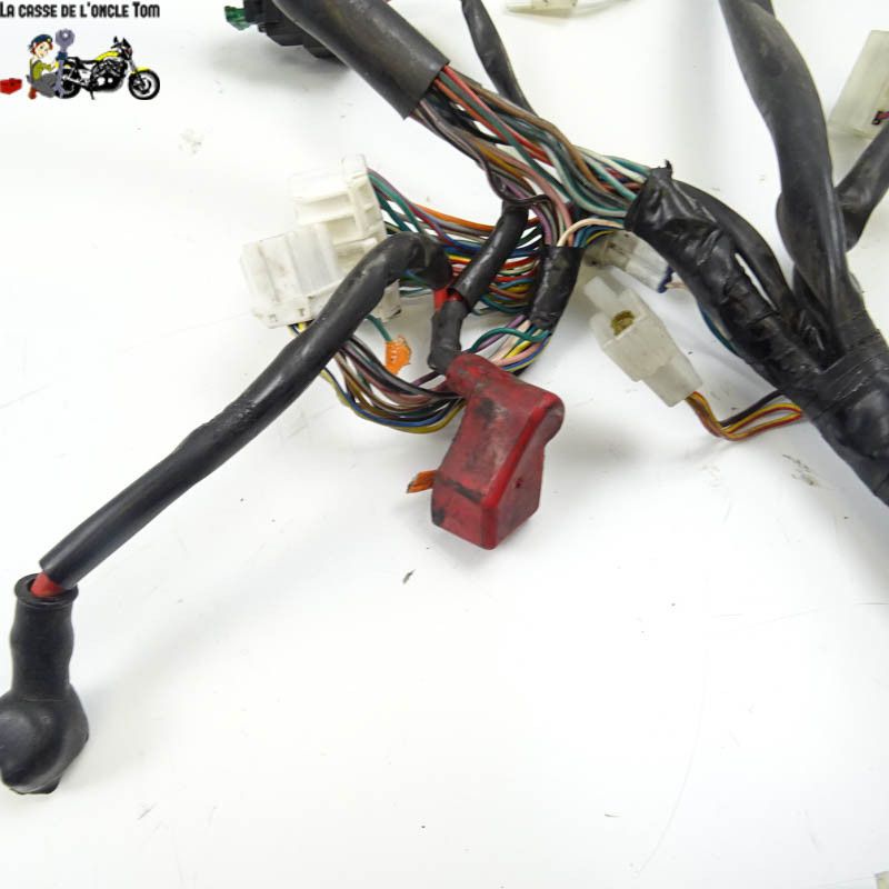 Faisceau électrique Aprilia 1000 RSV 2000 - CTM-9808-104