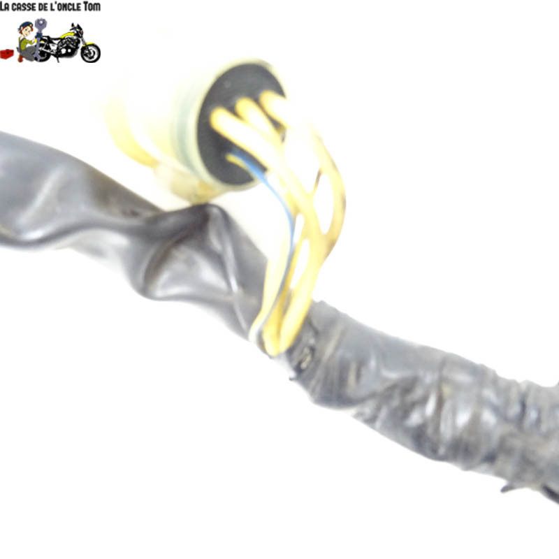 Faisceau électrique Aprilia 1000 RSV 2000 - CTM-9808-104