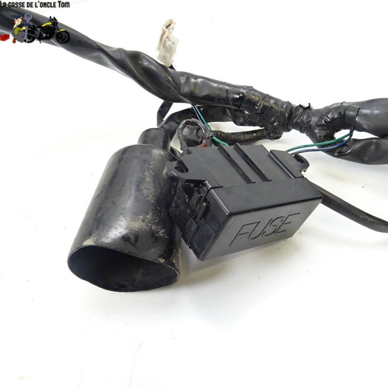 Faisceau électrique Aprilia 1000 RSV 2000 - CTM-9808-104