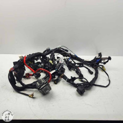 Faisceau électrique principal Yamaha 900 Mt tracer 2023