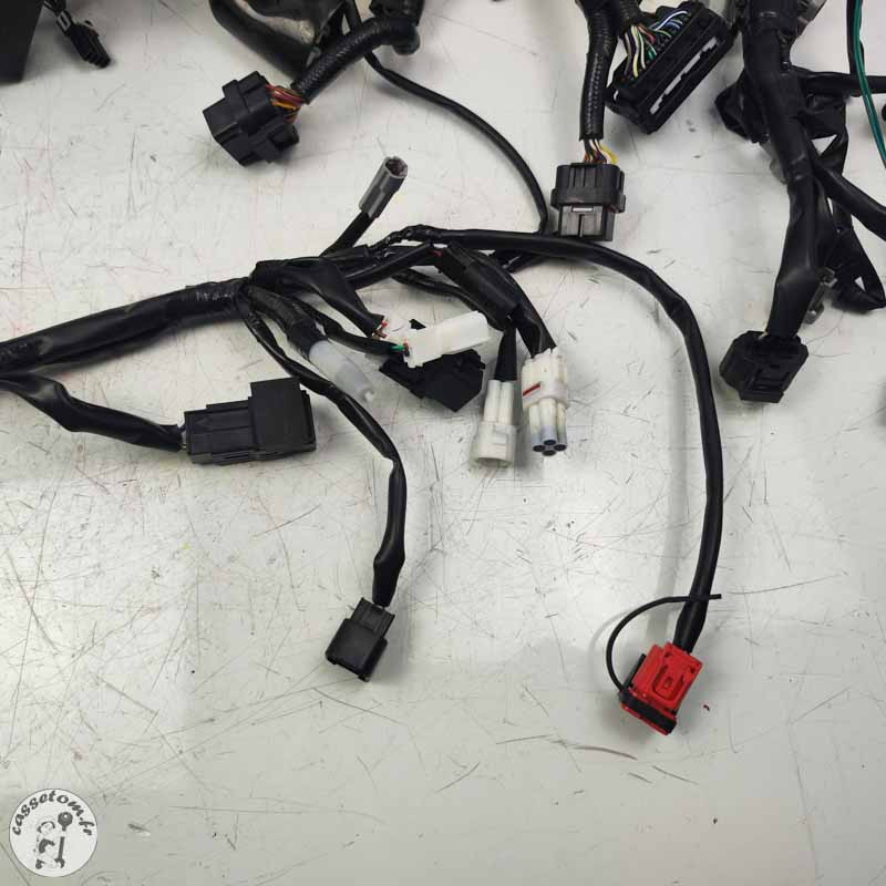 Faisceau électrique principal Yamaha 900 Mt tracer 2023