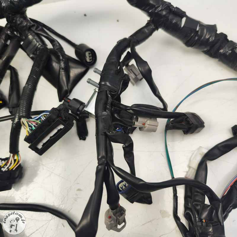 Faisceau électrique principal Yamaha 900 Mt tracer 2023