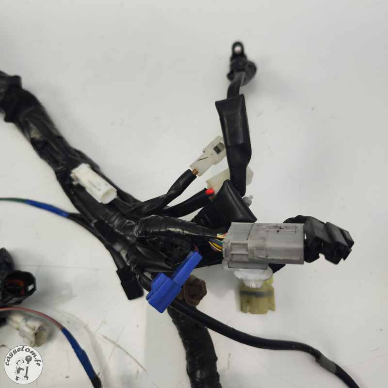 Faisceau électrique principal Yamaha 900 Mt tracer 2023