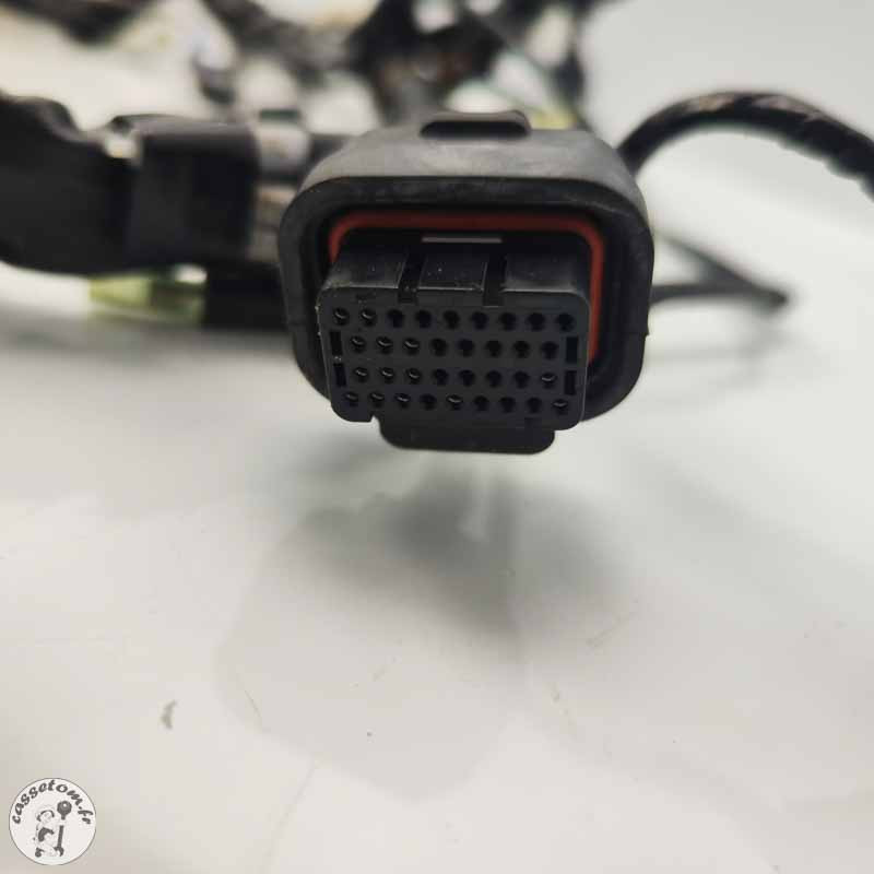 Faisceau électrique principal Yamaha 900 Mt tracer 2023