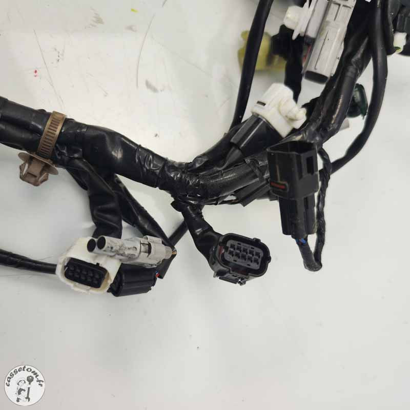 Faisceau électrique principal Yamaha 900 Mt tracer 2023