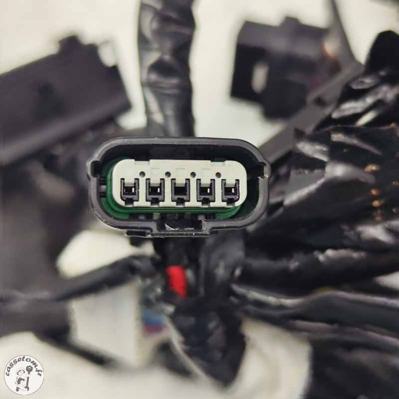 Faisceau électrique principal Yamaha 900 Mt tracer 2023