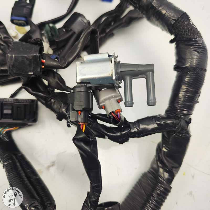 Faisceau électrique principal Yamaha 900 Mt tracer 2023