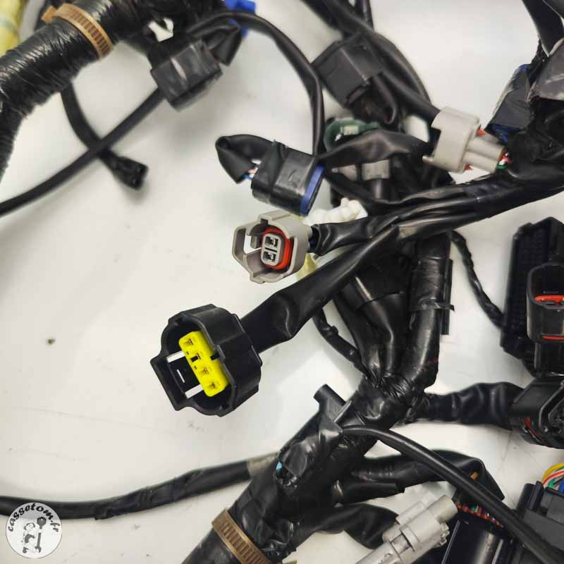 Faisceau électrique principal Yamaha 900 Mt tracer 2023