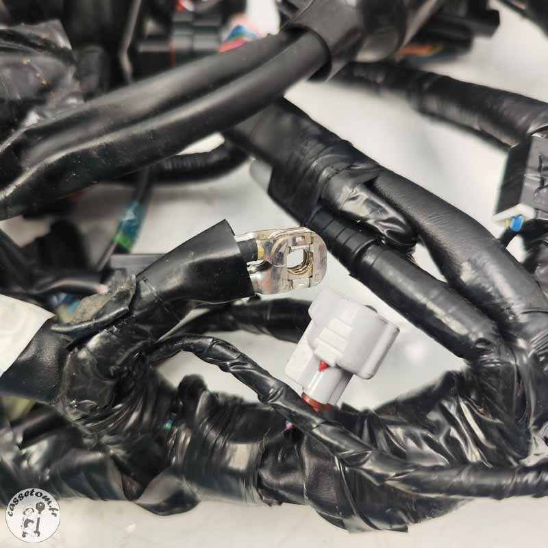 Faisceau électrique principal Yamaha 900 Mt tracer 2023