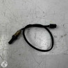 Sonde lambda  Ducati 1200 Monster 2017