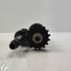 Boite de vitesse  KTM 790 duke l 2023