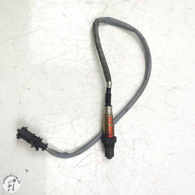 Sonde lambda KTM 790 duke l 2023