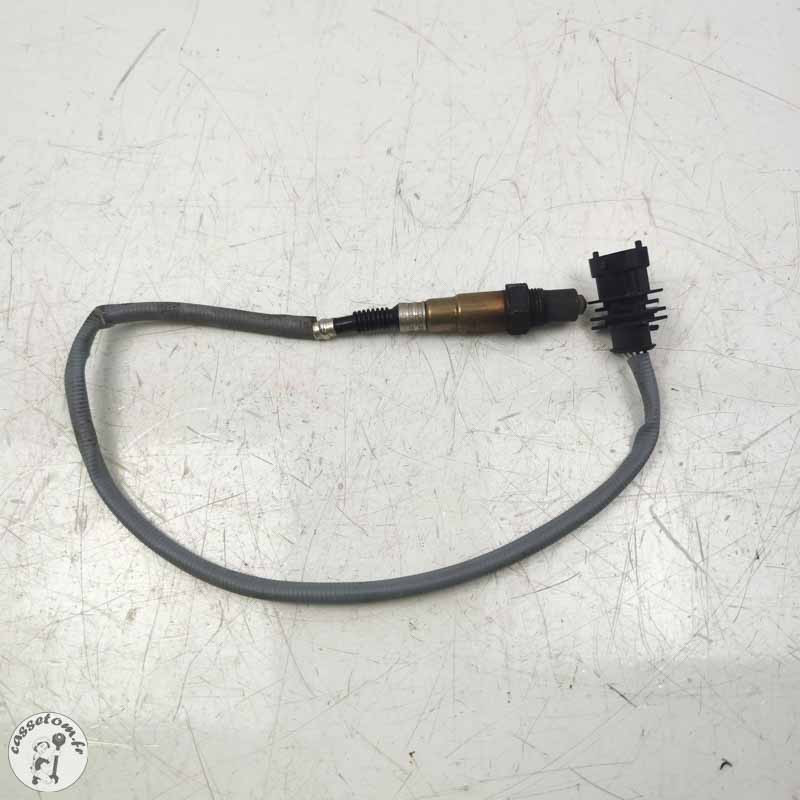 Sonde lambda KTM 790 duke l 2023