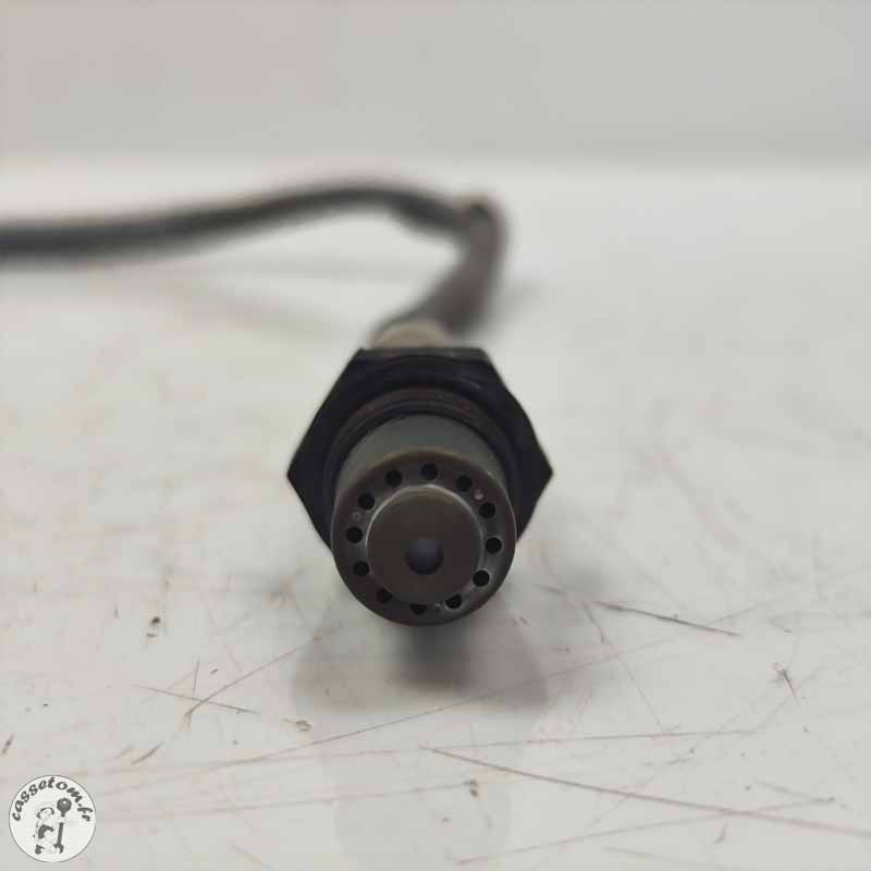 Sonde lambda KTM 790 duke l 2023