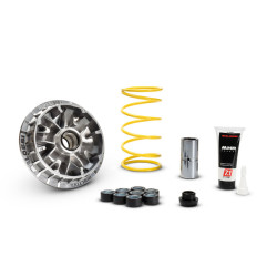 Variateur MALOSSI Multivar 2000