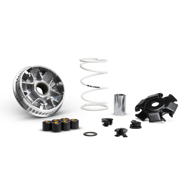 Variateur MALOSSI Multivar 2000